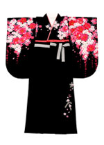 袴ギャラリーCool